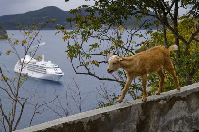 64 Guadeloupe, Les Saintes.jpg